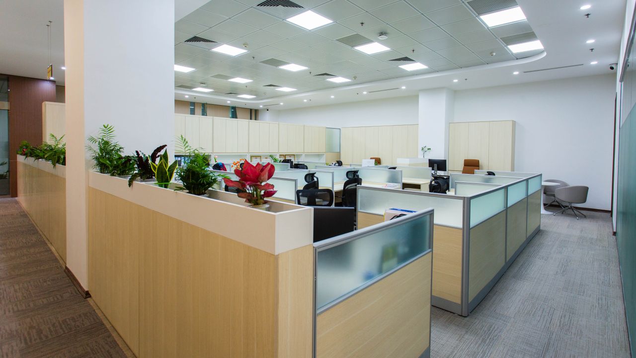 Oficina abierta con plantas y luz natural